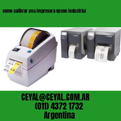 como calibrar una impresora epson industrial