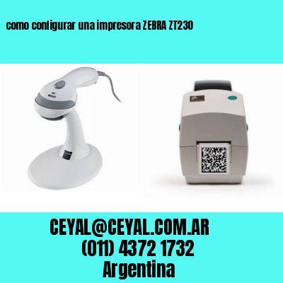 como configurar una impresora ZEBRA ZT230