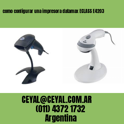 como configurar una impresora datamax ECLASS E4203