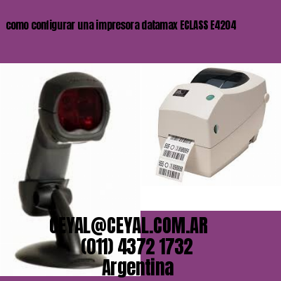 como configurar una impresora datamax ECLASS E4204