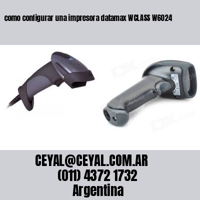 como configurar una impresora datamax WCLASS W6024