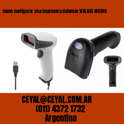 como configurar una impresora datamax WCLASS W6308