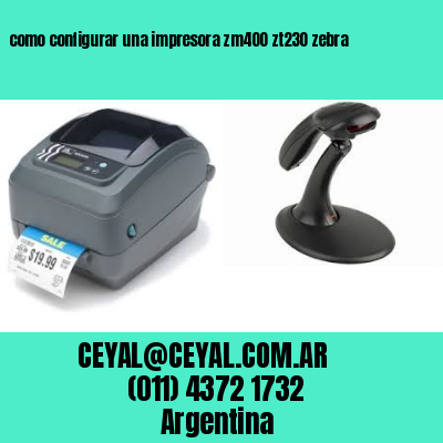 como configurar una impresora zm400 zt230 zebra