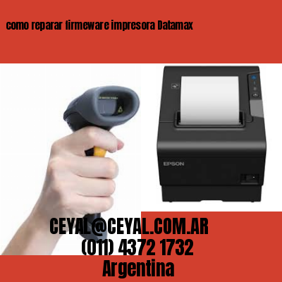 como reparar firmeware impresora Datamax