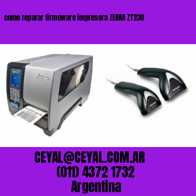 como reparar firmeware impresora ZEBRA ZT230