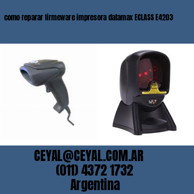 como reparar firmeware impresora datamax ECLASS E4203