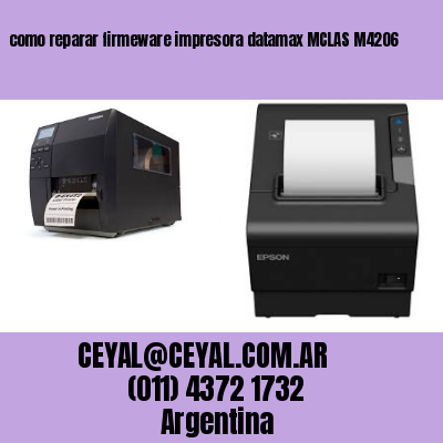 como reparar firmeware impresora datamax MCLAS M4206