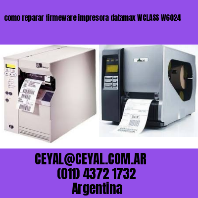 como reparar firmeware impresora datamax WCLASS W6024