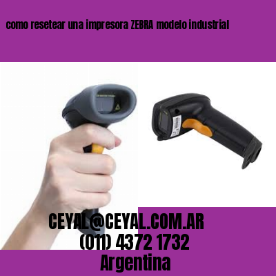 como resetear una impresora ZEBRA modelo industrial