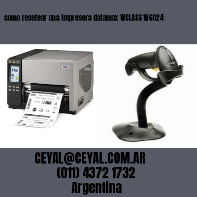 como resetear una impresora datamax WCLASS W6024