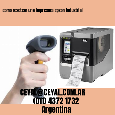 como resetear una impresora epson industrial