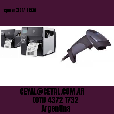 reparar ZEBRA ZT230