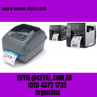 reparar datamax ECLASS E4203