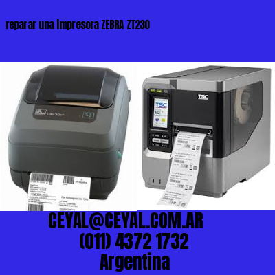 reparar una impresora ZEBRA ZT230