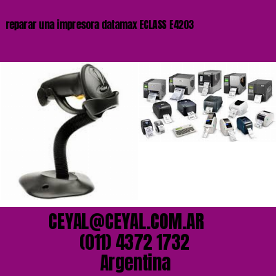 reparar una impresora datamax ECLASS E4203