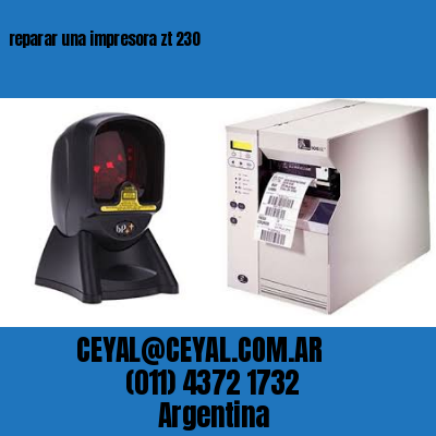 reparar una impresora zt 230