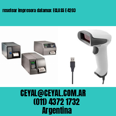 resetear impresora datamax ECLASS E4203