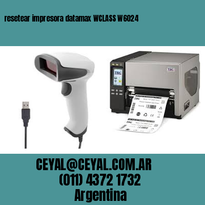 resetear impresora datamax WCLASS W6024