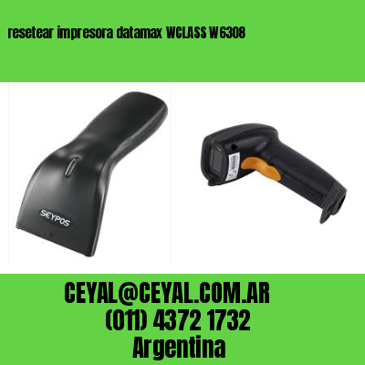 resetear impresora datamax WCLASS W6308