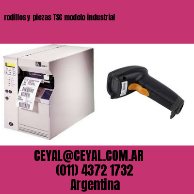 rodillos y piezas TSC modelo industrial