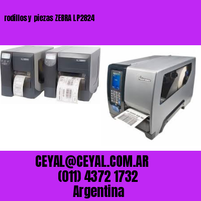 rodillos y piezas ZEBRA LP2824