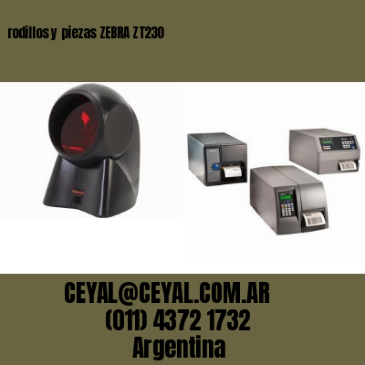 rodillos y piezas ZEBRA ZT230