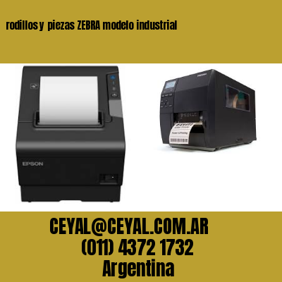 rodillos y piezas ZEBRA modelo industrial