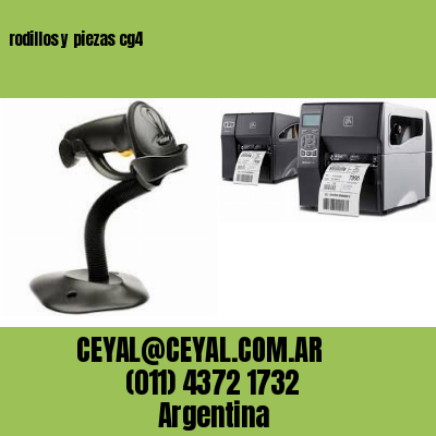 rodillos y piezas cg4