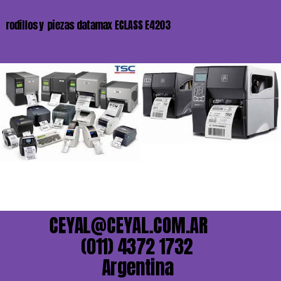 rodillos y piezas datamax ECLASS E4203