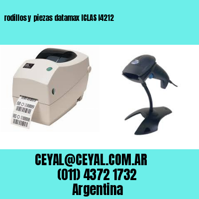rodillos y piezas datamax ICLAS I4212