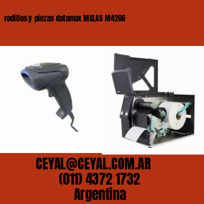 rodillos y piezas datamax MCLAS M4206
