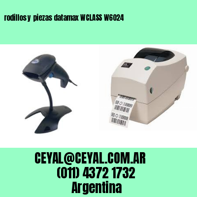 rodillos y piezas datamax WCLASS W6024