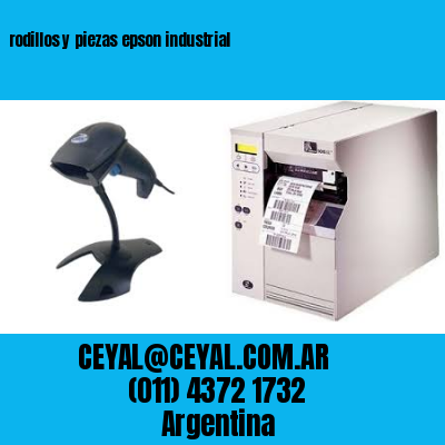 rodillos y piezas epson industrial