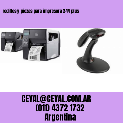 rodillos y piezas para impresora 244 plus