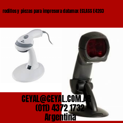 rodillos y piezas para impresora datamax ECLASS E4203