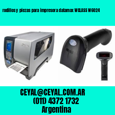 rodillos y piezas para impresora datamax WCLASS W6024