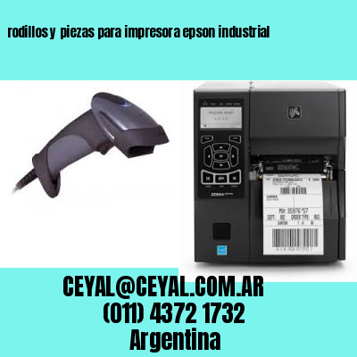 rodillos y piezas para impresora epson industrial