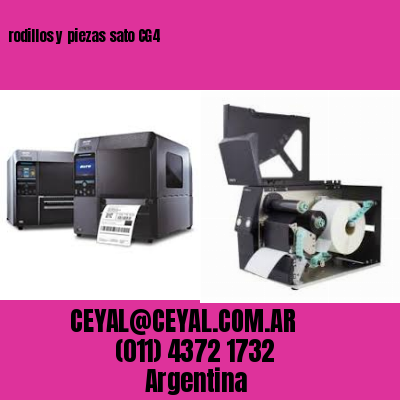 rodillos y piezas sato CG4