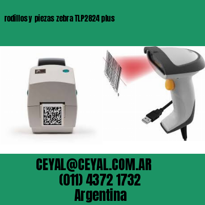rodillos y piezas zebra TLP2824 plus
