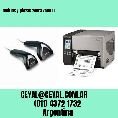 rodillos y piezas zebra ZM600