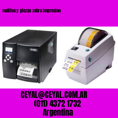 rodillos y piezas zebra impresion