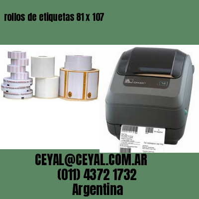 rollos de etiquetas 81 x 107