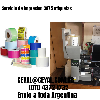 Servicio de impresion 3875 etiquetas