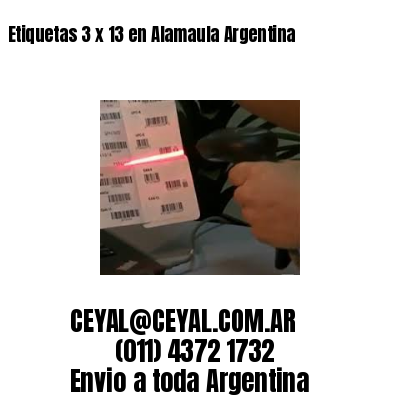 Etiquetas 3 x 13 en Alamaula Argentina