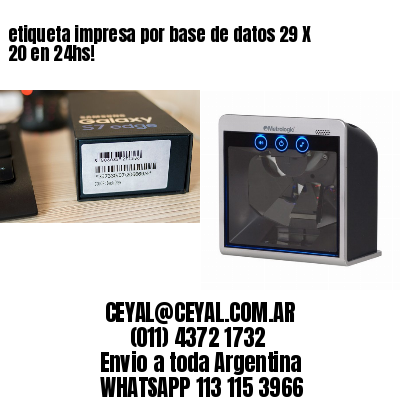 etiqueta impresa por base de datos 29 X 20 en 24hs!