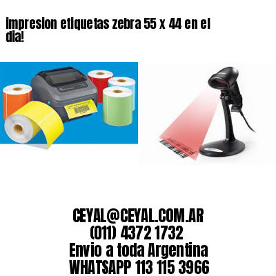 impresion etiquetas zebra 55 x 44 en el dia!