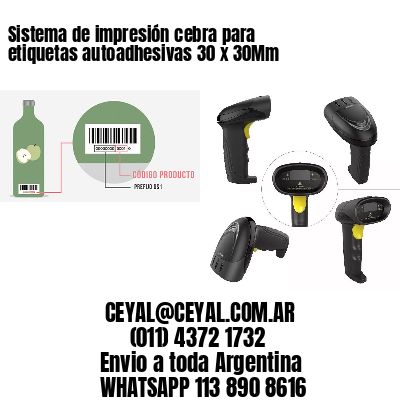 Sistema de impresión cebra para etiquetas autoadhesivas 30 x 30Mm