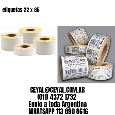etiquetas 22 x 85