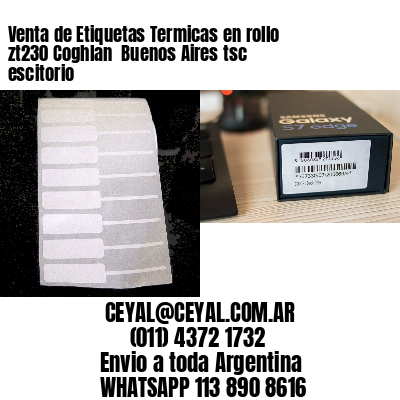 Venta de Etiquetas Termicas en rollo zt230 Coghlan  Buenos Aires tsc escitorio