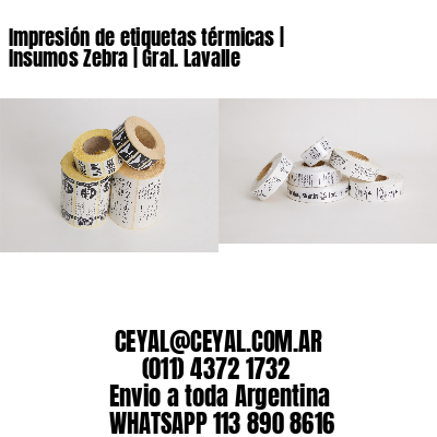 Impresión de etiquetas térmicas | Insumos Zebra | Gral. Lavalle